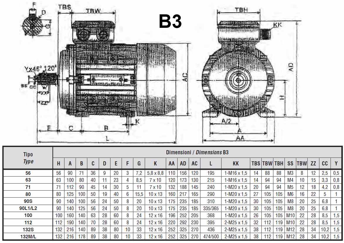 Manuale d'Uso per il Motore Trifase 2800 RPM