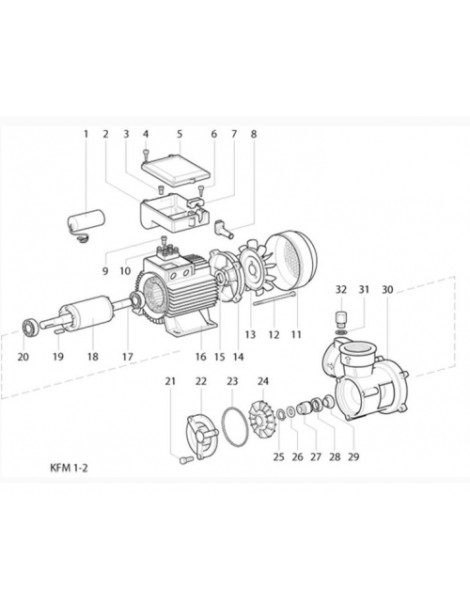 Pompa Volumetrica KFM1 0,37KW centrifuga rotativa monofase o trifase Speroni