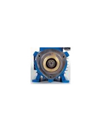 Pompa Volumetrica AKM 60 0,45KW centrifuga rotativa Monofase Speroni