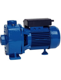 POMPA CENTRIFUGA BIGIRANTE NBM 300 2,2KW