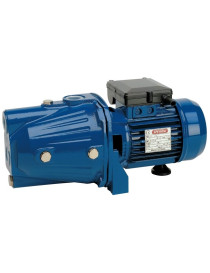 Elettropompa Autoadescante CA 130 1,0KW trifase