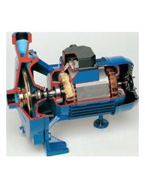 Pompa Centrifuga C54 3KW trifase monogirante Speroni