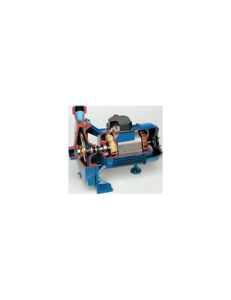 Pompa Centrifuga C54 3KW trifase monogirante Speroni
