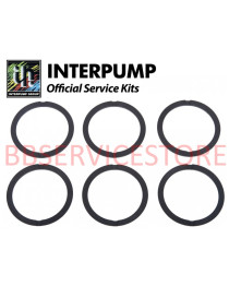 Kit 48 Interpump