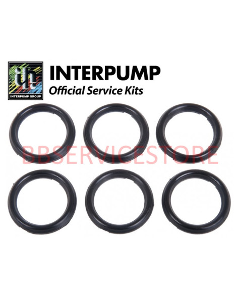 Kit 65 Interpump