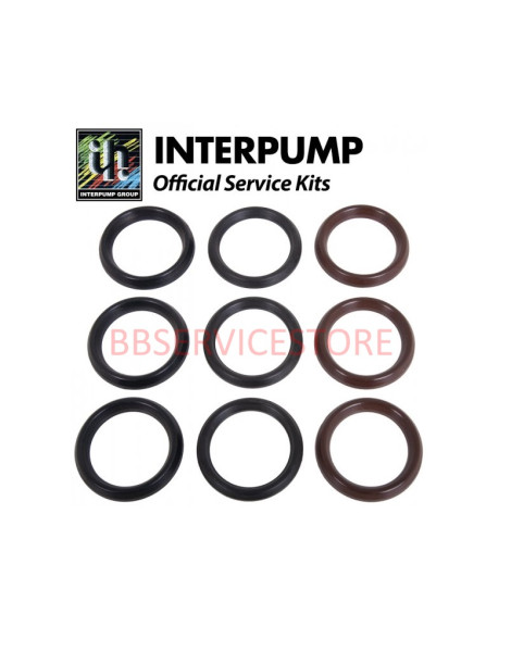 Kit 79 Interpump