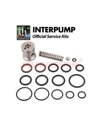 Kit 95 Interpump