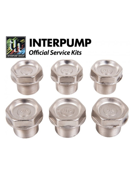 Kit 106 Interpump