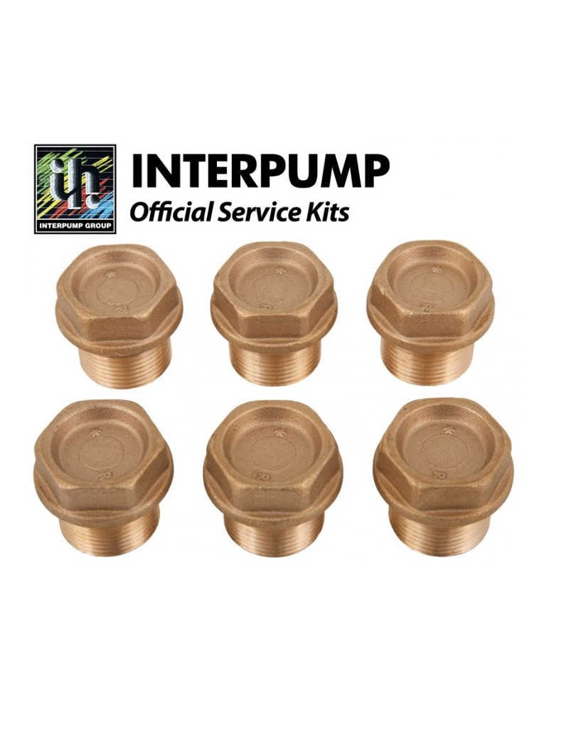 Kit 124 Interpump