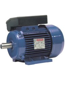MOTORE ELETTRICO 2 POLI TRIFASE DA 0,18 A 18,5KW