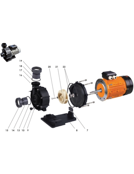 RICAMBI POMPA ARCA 2200-3000 SENZA PREFILTRO
